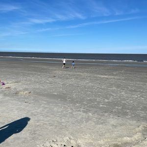 Meet your Posher, Elissa